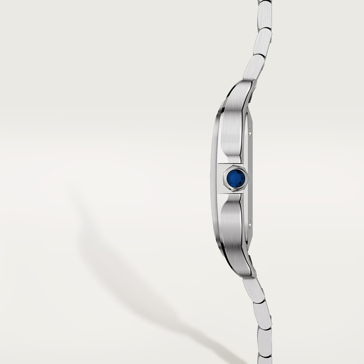 Cartier Santos de Cartier watch WSSA0029