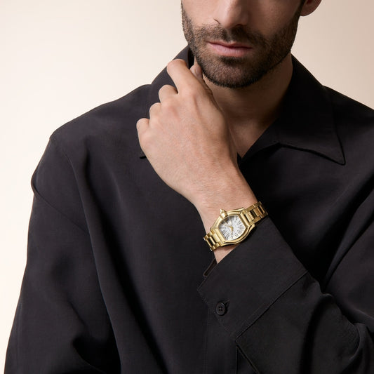 Cartier Roadster watch WGRD0011