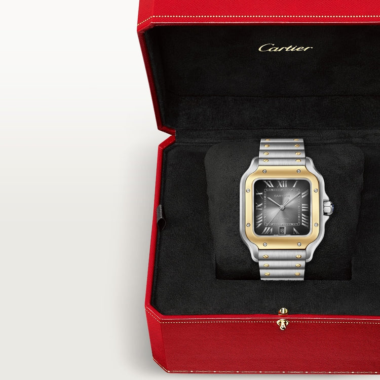 Cartier Santos de Cartier watch W2SA0030