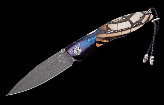 William Henry KNIVES KC20426
