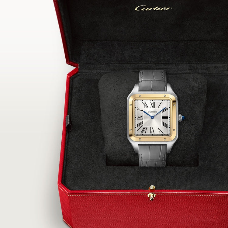 Cartier Santos-Dumont watch W2SA0034