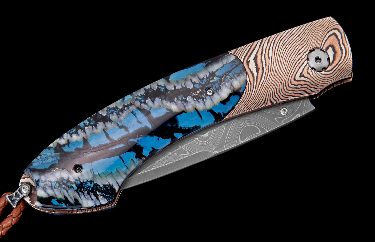 William Henry KNIVES KC20479