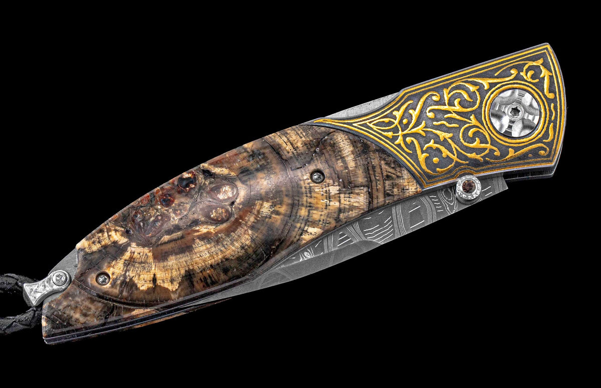 William Henry KNIVES KC24053