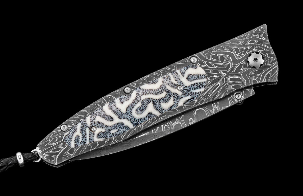 William Henry KNIVES KC24080