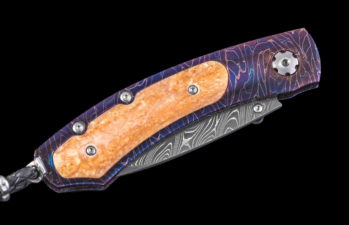 William Henry KNIVES KC25075