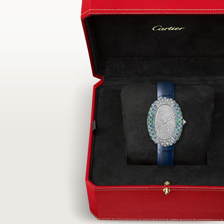 Cartier Baignoire watch WJBA0060