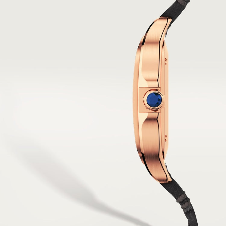 Cartier Santos de Cartier watch WGSA0028
