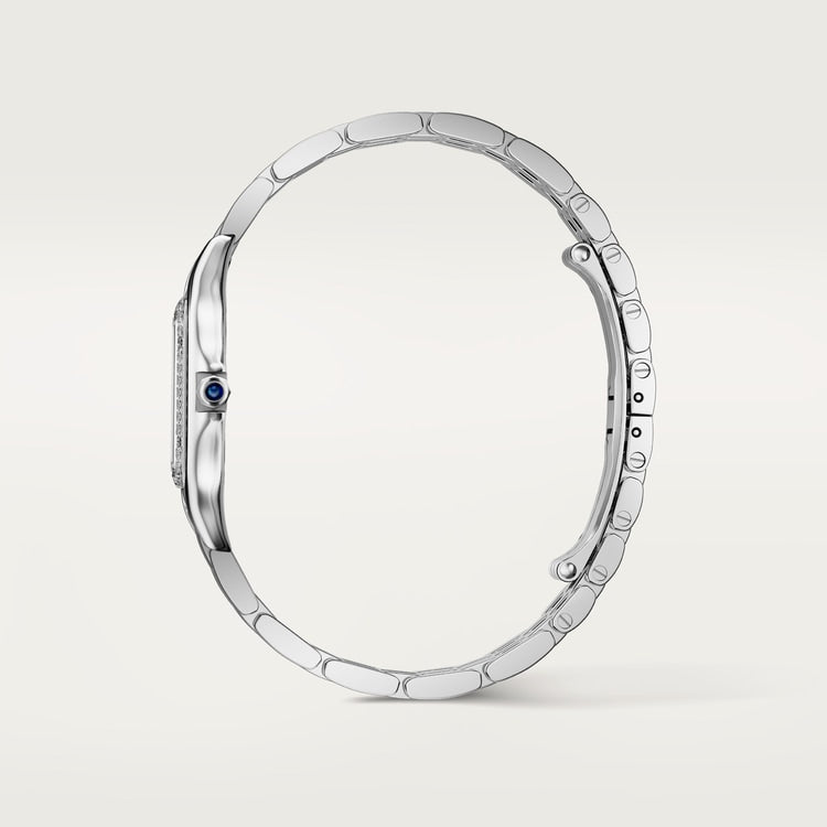 Cartier Panthère de Cartier watch W4PN0018