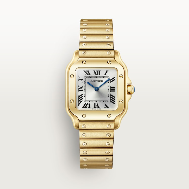 Cartier Santos de Cartier watch WGSA0107