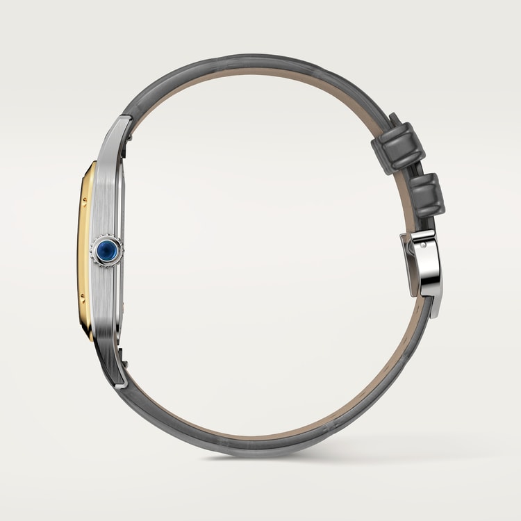 Cartier Santos-Dumont watch W2SA0036