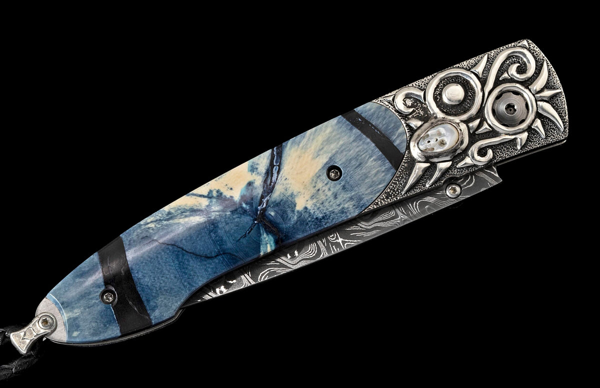 William Henry KNIVES KC20519