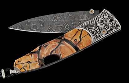 William Henry KNIVES KC20747