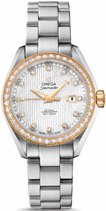 Omega Seamaster Aqua Terra Jewellery Womens 231.25.34.20.55.004 Watch