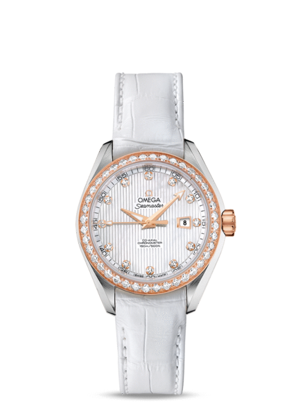 Omega Seamaster Aqua Terra Jewellery Womens 231.28.34.20.55.002 Watch