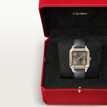 Cartier Santos-Dumont watch W2SA0036