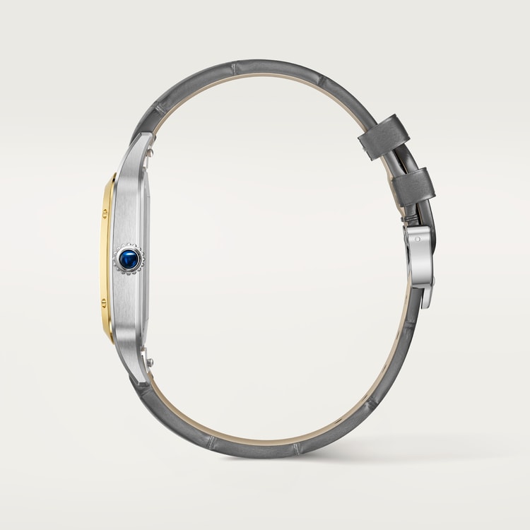 Cartier Santos-Dumont watch W2SA0034