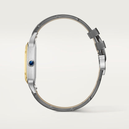 Cartier Santos-Dumont watch W2SA0034