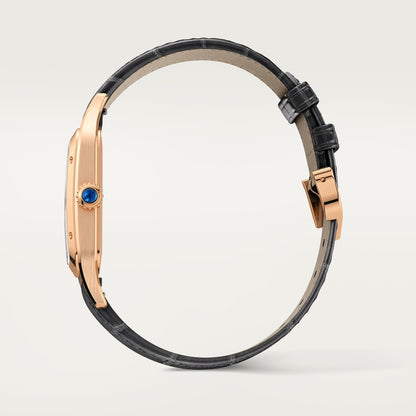 Cartier Santos-Dumont watch WGSA0116
