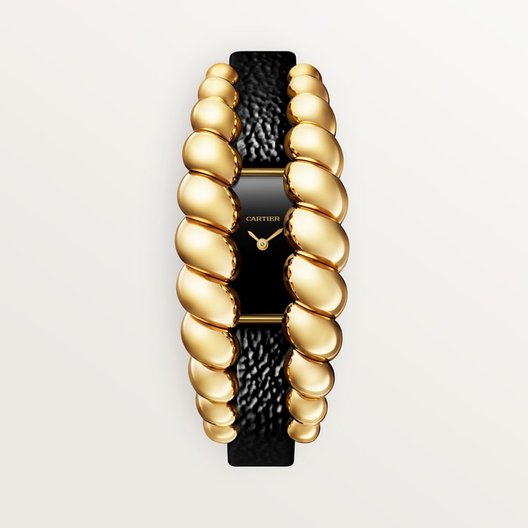 Cartier Tressage watch HPI01689