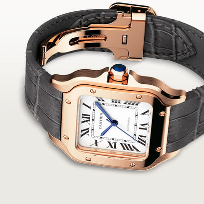 Cartier Santos de Cartier watch WGSA0028