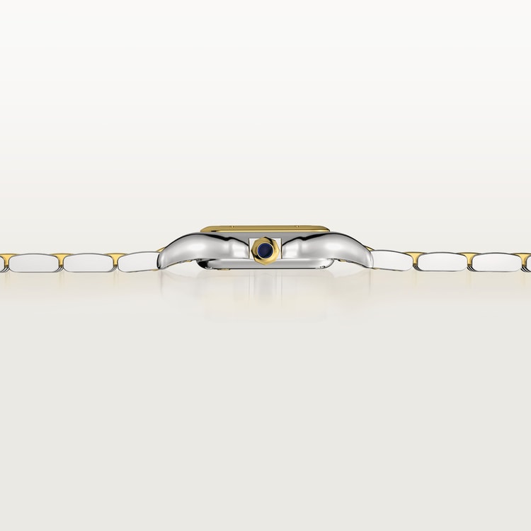 Cartier Panthère de Cartier watch W2PN0018
