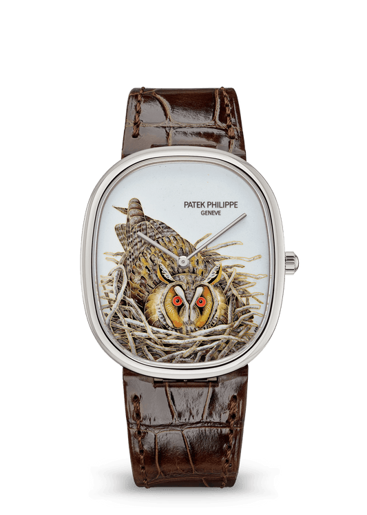Patek Philippe Ref. 5738/50G-049