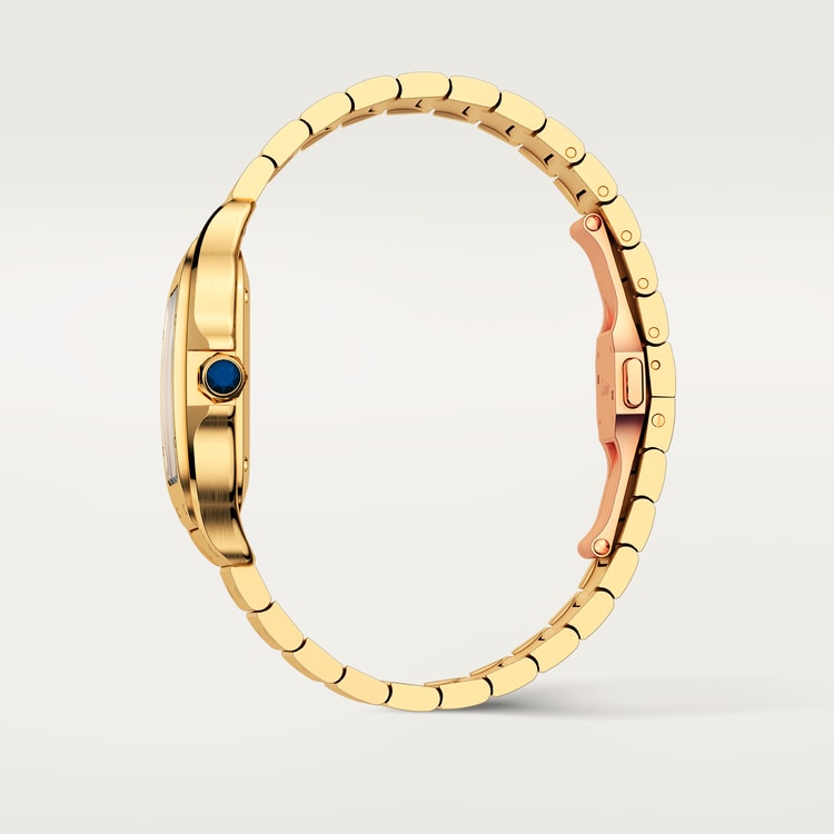 Cartier Santos de Cartier watch WGSA0030