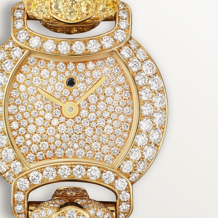 Cartier Indomptables de Cartier Watch HPI01453