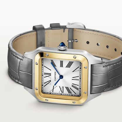 Cartier Santos-Dumont watch W2SA0034