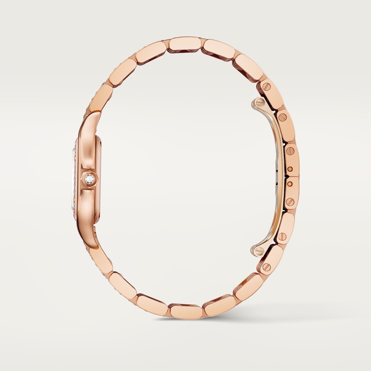 Cartier Panthère de Cartier watch WJPN0061
