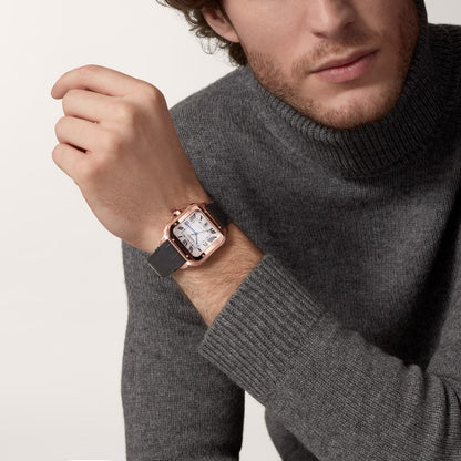 Cartier Santos de Cartier watch WGSA0019
