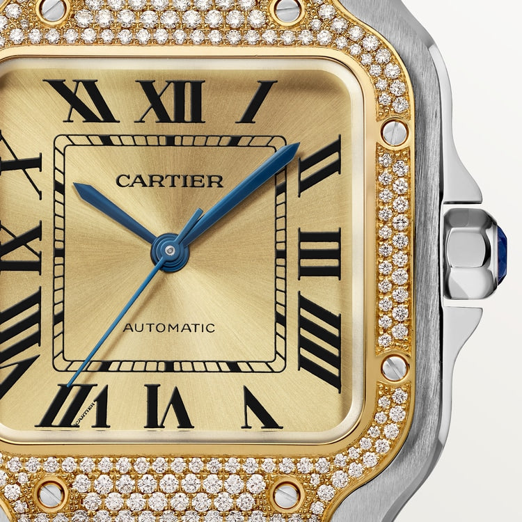 Cartier Santos de Cartier watch W3SA0007