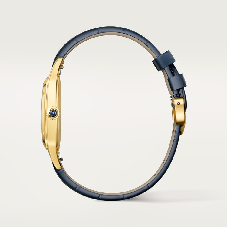 Cartier Santos-Dumont watch WGSA0139