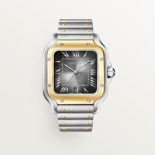 Cartier Santos de Cartier watch W2SA0030