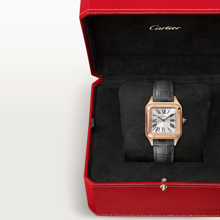 Cartier Santos-Dumont watch WGSA0117