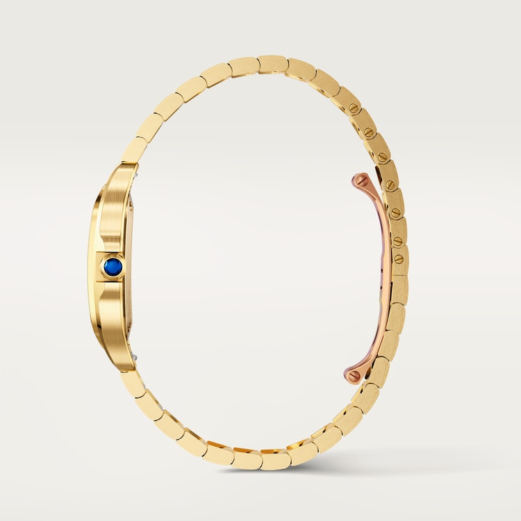 Cartier Santos de Cartier watch WGSA0107