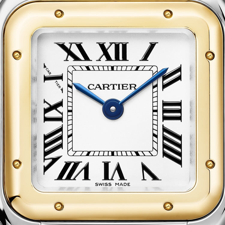 Cartier Panthère de Cartier watch W2PN0018