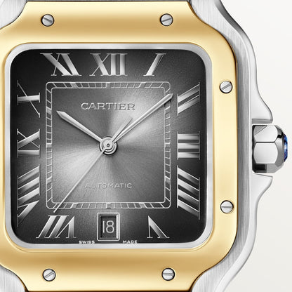 Cartier Santos de Cartier watch W2SA0030