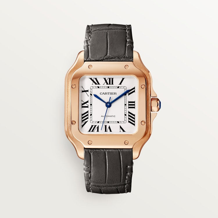 Cartier Santos de Cartier watch WGSA0028