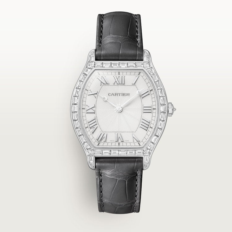 Cartier Tortue Watch HPI01830
