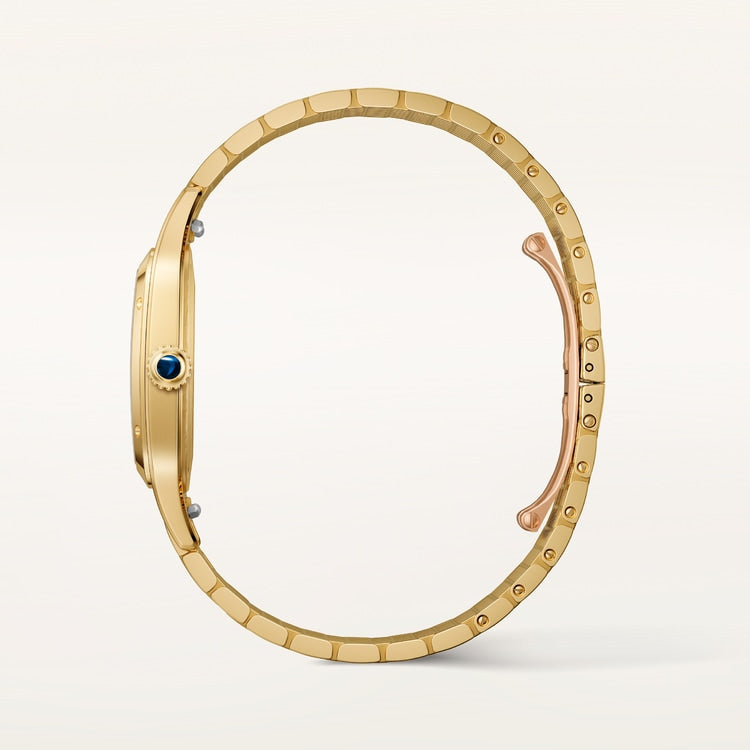 Cartier Santos-Dumont watch WGSA0123