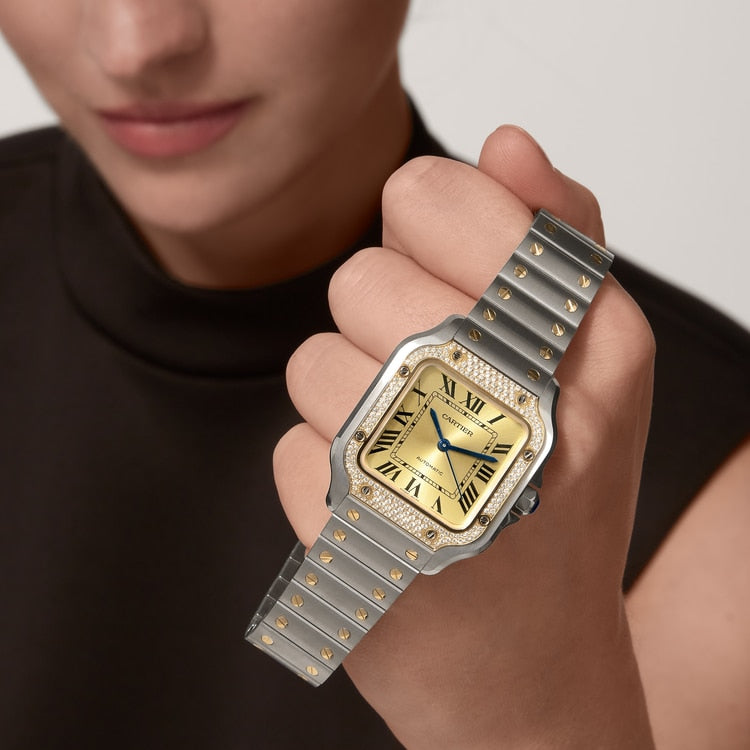 Cartier Santos de Cartier watch W3SA0007