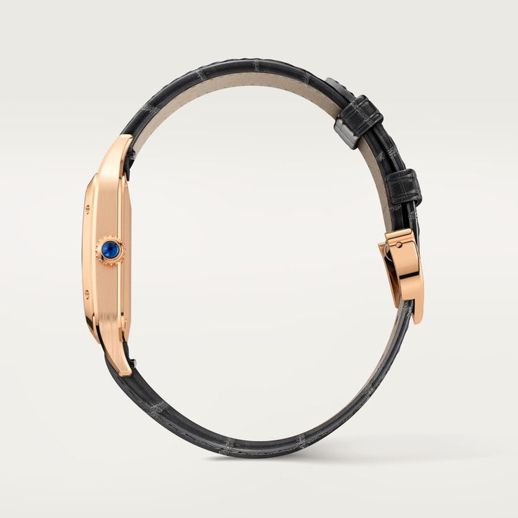 Cartier Santos-Dumont watch WGSA0117