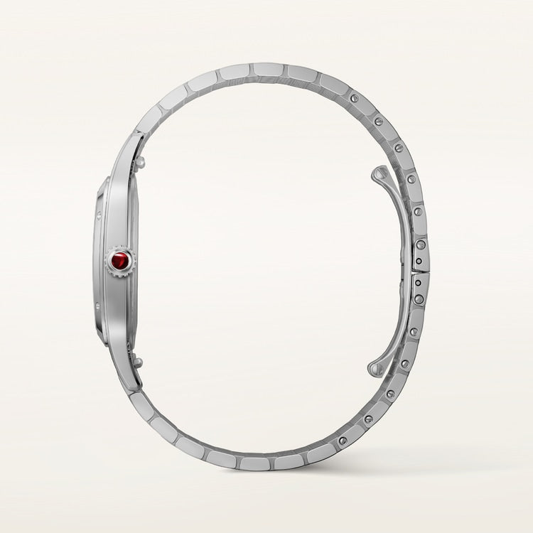 Cartier Santos-Dumont watch WGSA0124