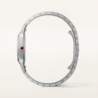 Cartier Santos-Dumont watch WGSA0124