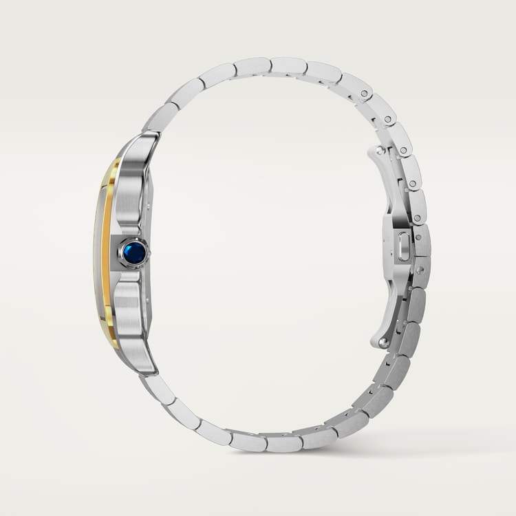 Cartier Santos de Cartier watch W2SA0030