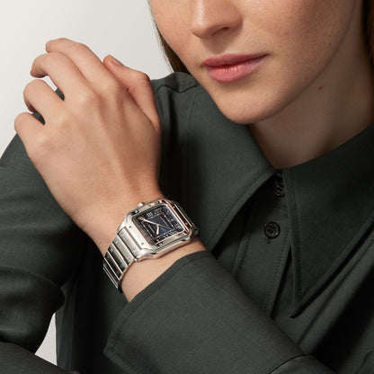 Cartier Santos de Cartier watch WSSA0071