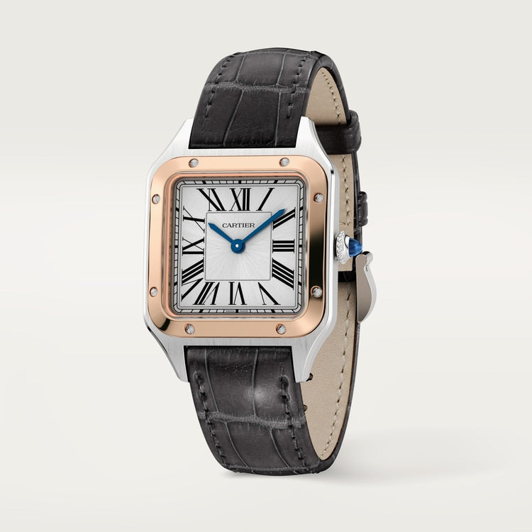 Cartier Santos-Dumont watch W2SA0038