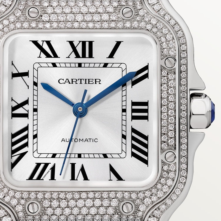 Cartier Santos de Cartier watch WJSA0014