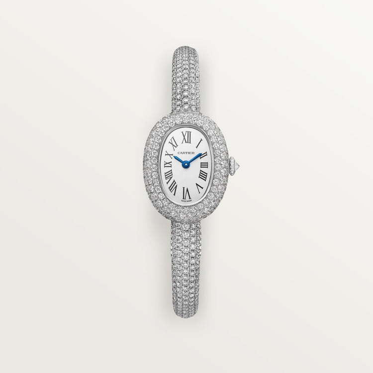 Cartier Baignoire watch HPI01854
